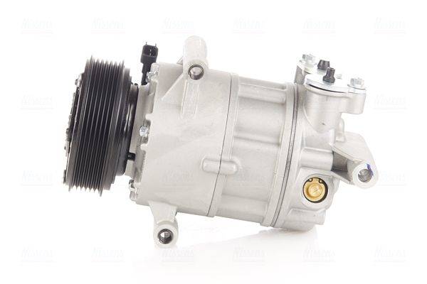 84552015911757220240113-1-jvj46m