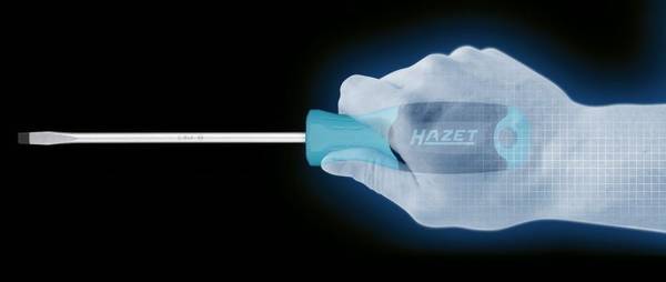 84552062759468820240530-1-7w9g6v