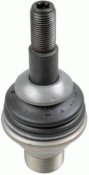 Lodbalsts 3895201