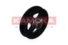 84552016534481920240801-1-1a5kpq2