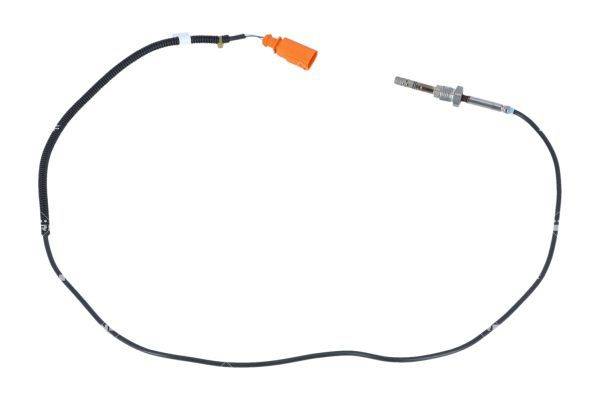 84552016732600720240813-1-a61txw