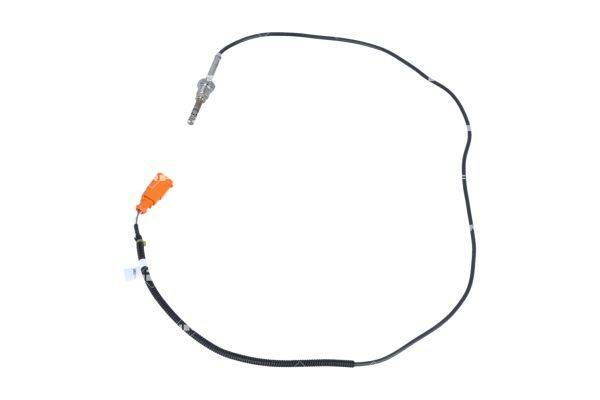 84552016732600620240813-1-q398lh