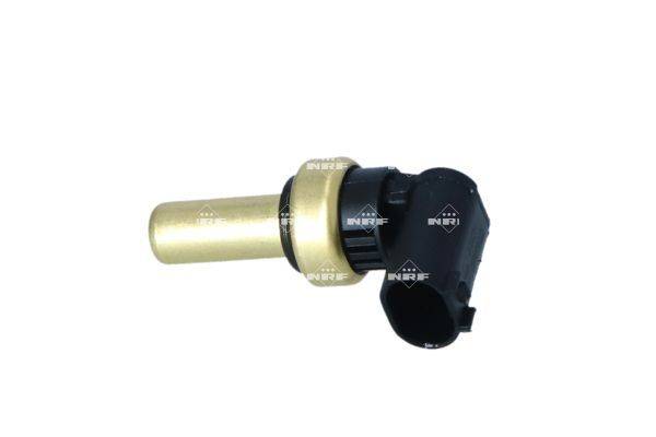 84552016733162420241025-1-174zzjj