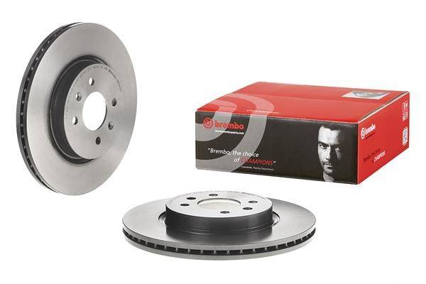 Bremžu disks 09.D880.11