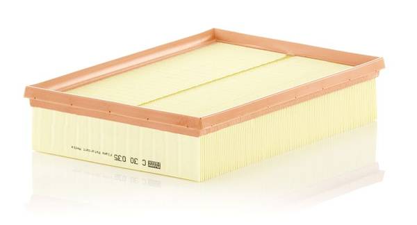 Gaisa filtrs C30035