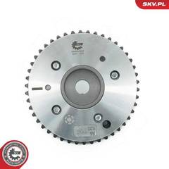 Sadales vārpstas reg. 39SKV522