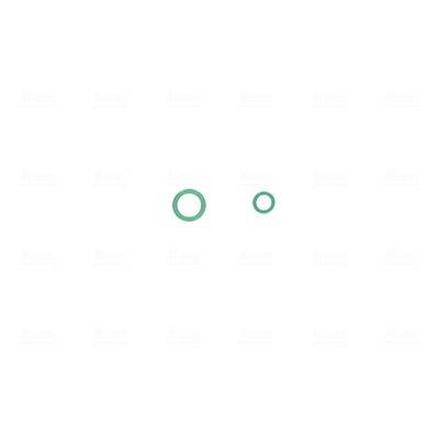 84552015912908920250223-1-i1udu1