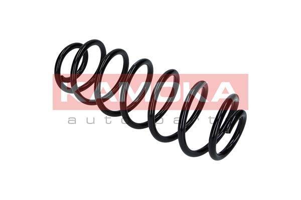 84552016530722120250304-1-asrw02