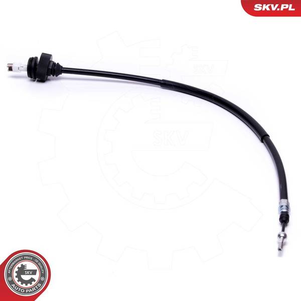 140847059714763420250326-1-1ivjo4s