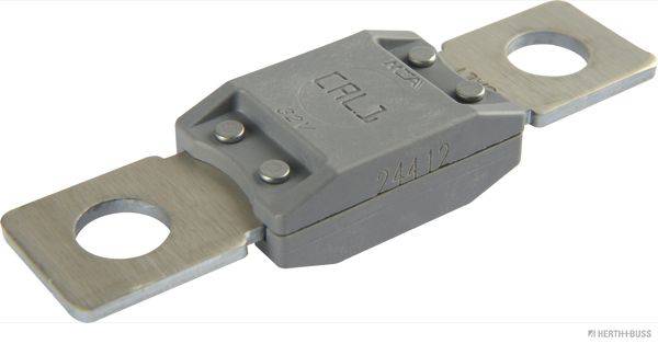 84552015400259820250326-1-8c2y85