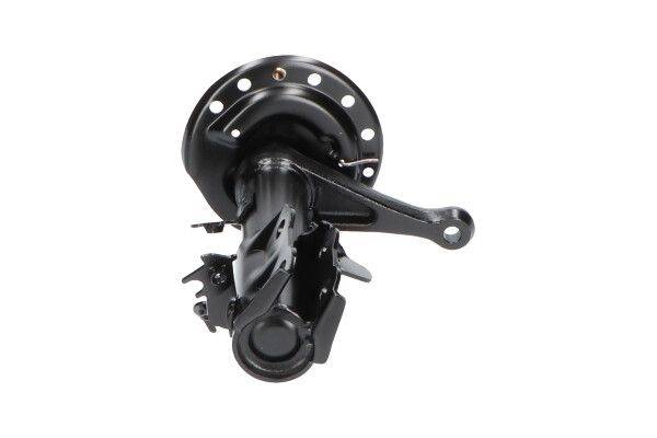 84552016693340120250425-1-1dwvulf