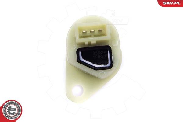 Sensors 17SKV789