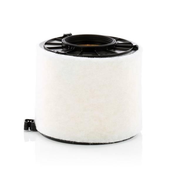Gaisa filtrs C17011