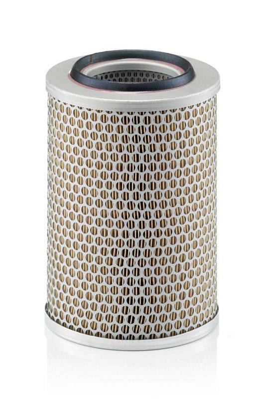 Gaisa filtrs C17201
