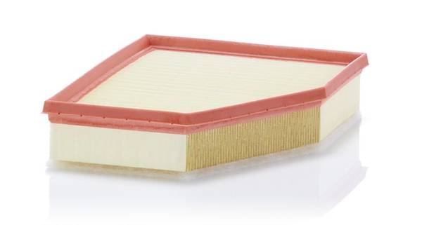 Gaisa filtrs C28038