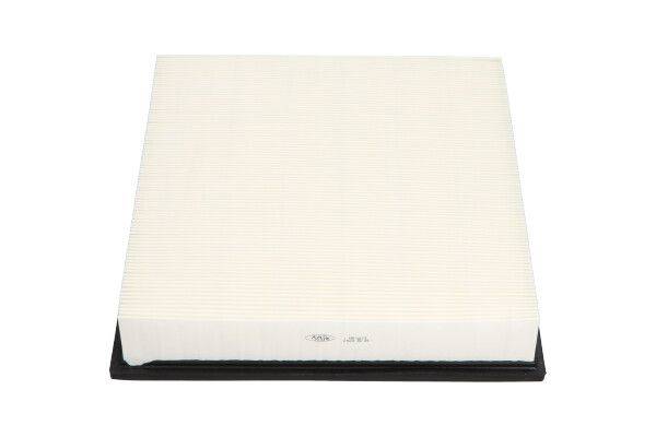 84552016691223020250725-1-or6x8n