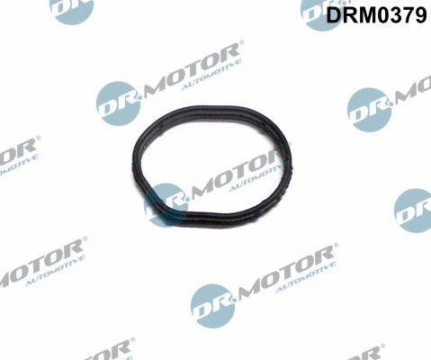 Blīve DRM0379