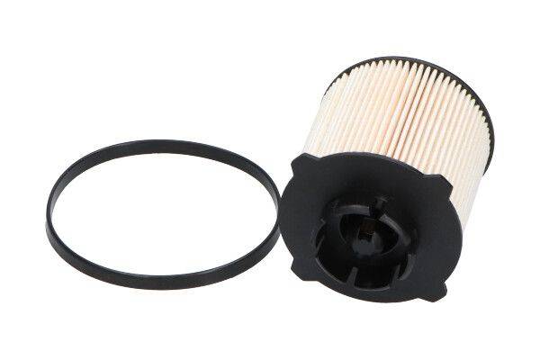 84552016689816720250822-1-anxj0s