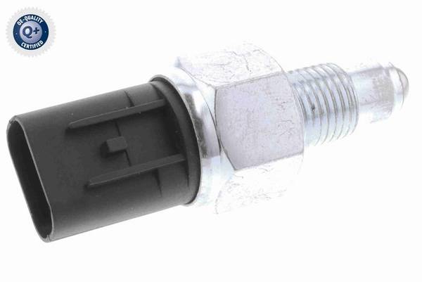 84552016512722620250909-1-cdbc80