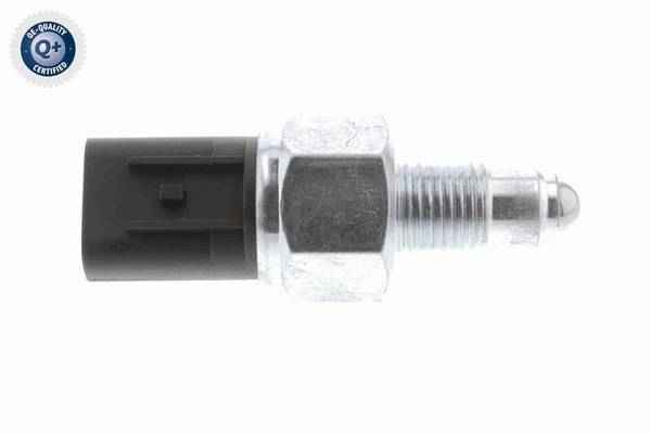 84552016512722820250909-1-qmql02