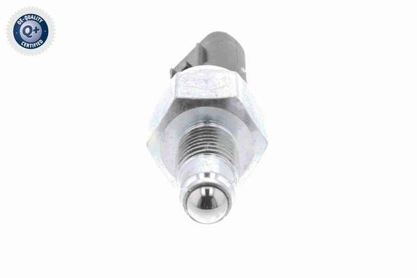 84552016512723020250909-1-l71q3s