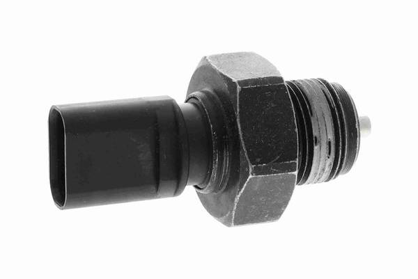 140847011856679720250909-1-brj45y