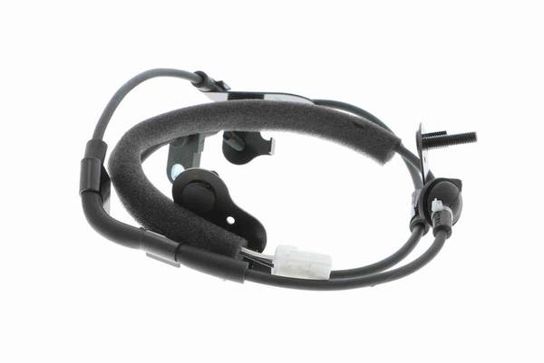 84552016518456020250912-1-wo4l2l