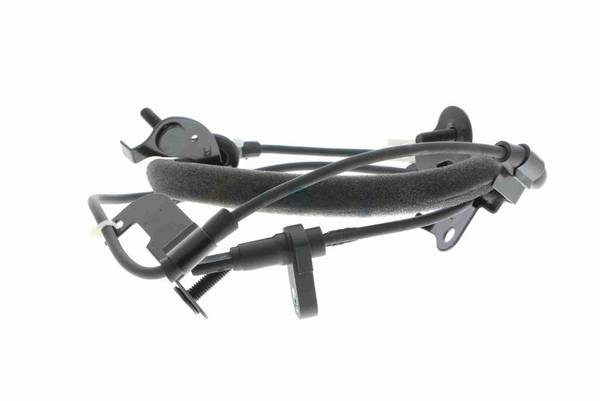 84552016518455720250912-1-1pxag5r