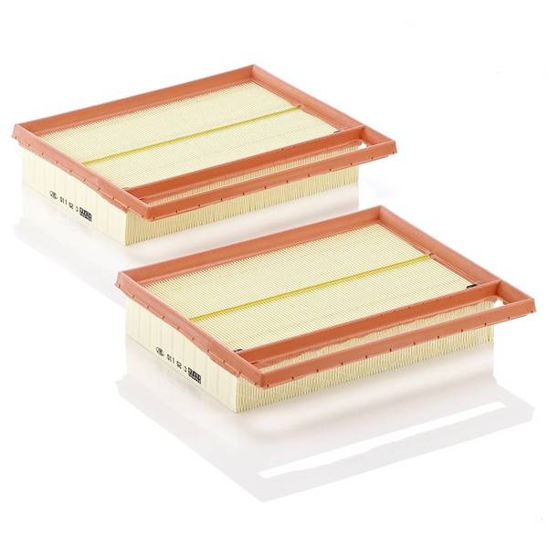 Gaisa filtrs C25110-2