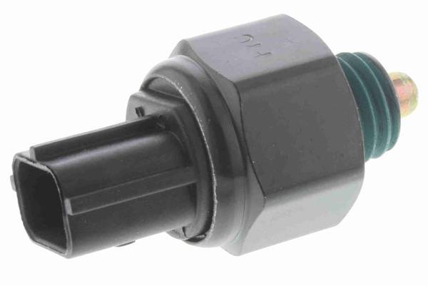 84552016518848920250924-1-48y7dl