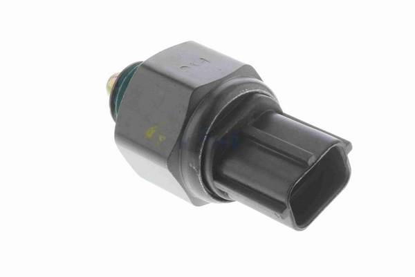 84552016518849620250924-1-w7mpbl