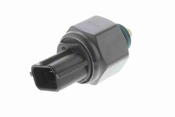 84552016518849820250924-1-15nzwma