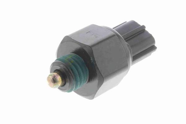 84552016518849420250924-1-1cv2mrx