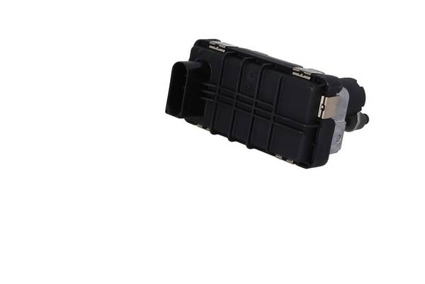 84552016534183920250929-1-44n3h6