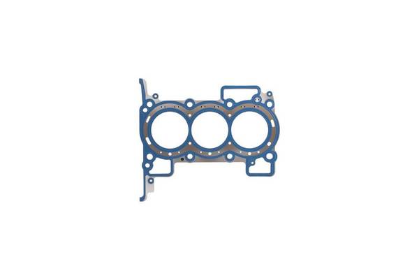 Blīve, Motora bloka galva