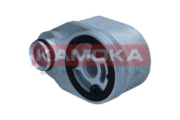 84552016532660820250930-1-16ieb1j