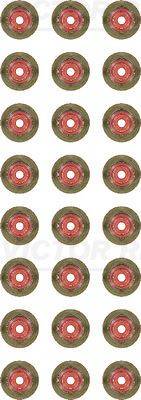 Blīvju komplekts, Vārsta kāts