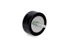 Parazīt-/Vadrullītis, Ķīļrievu siksna