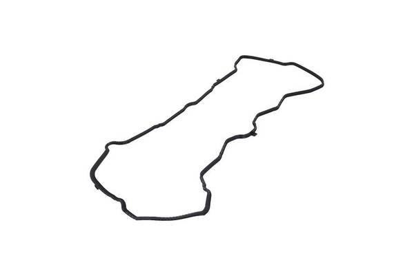 Blīve, Motora bloka galvas vāks