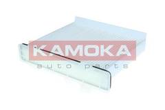 Filtrs, Salona telpas gaiss