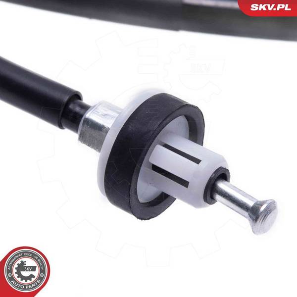 140847059718837520251003-1-gee2dg