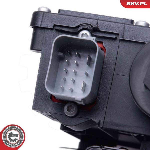 140847059718837620251003-1-h6ppul