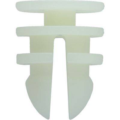 84552054911710420251009-1-1pkxf1m