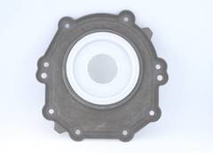 Vārpstas blīvgredzens, Kloķvārpsta