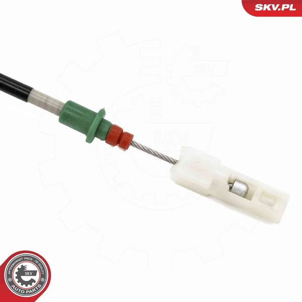 140847059719056220251015-1-1yd7266