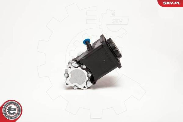 Stūres pastiprinātāja sūknis 10SKV012