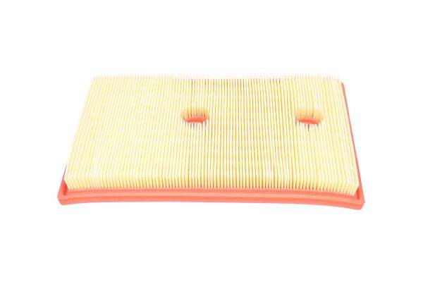 84552016695377220251018-1-1thfitp