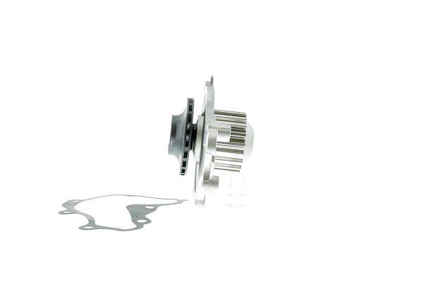 84552016341736820251022-1-d91jxs