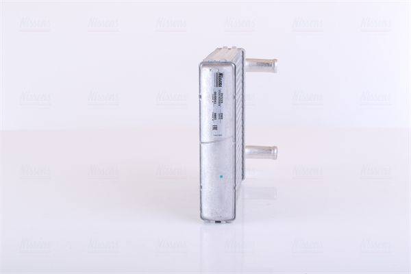 Siltummainis, Salona apsilde