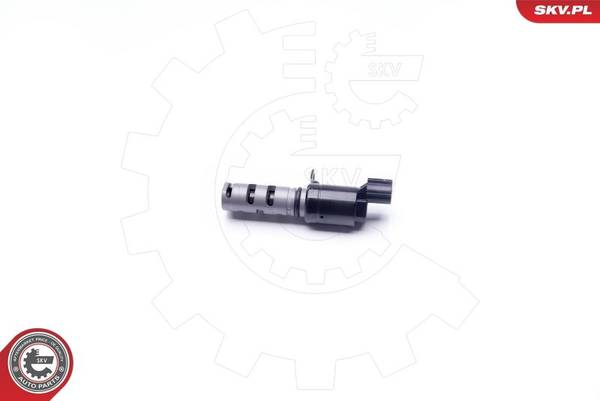 140847059716182420251031-1-zrcq4j